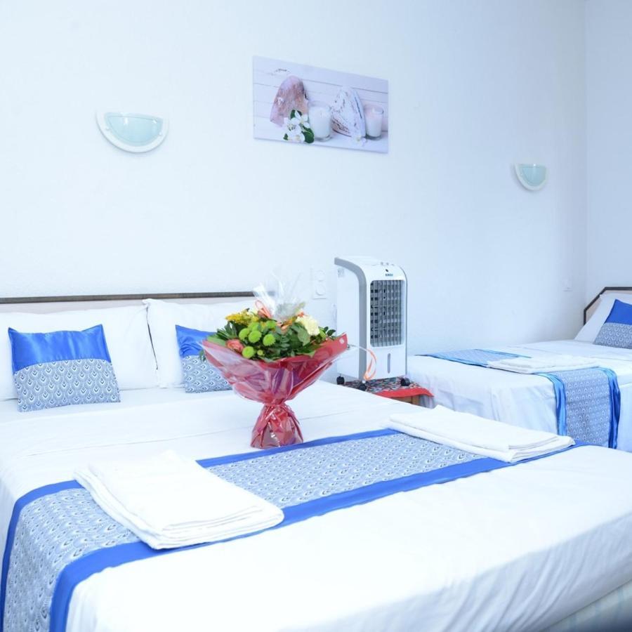 Hotel Aux Armes De Belgique Λούρδη Εξωτερικό φωτογραφία